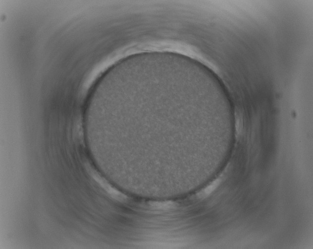 X0000075841498200610061834