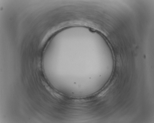 X0000075841499200610061834