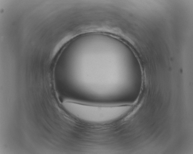 X0000075841501200610061834