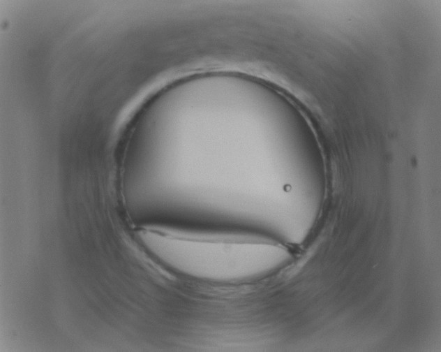 X0000075841502200610061834