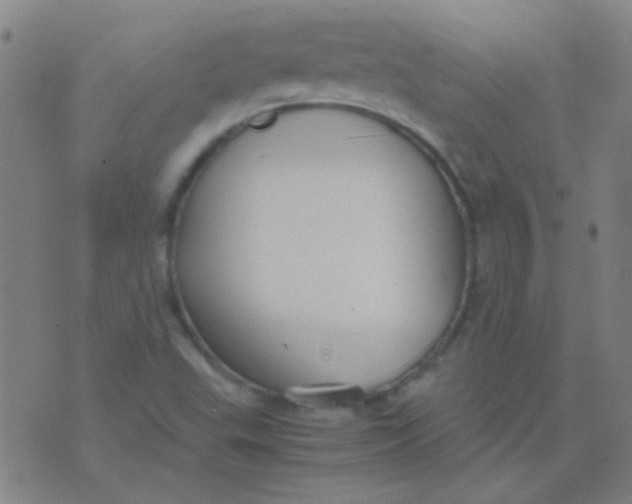 X0000075841503200610061834