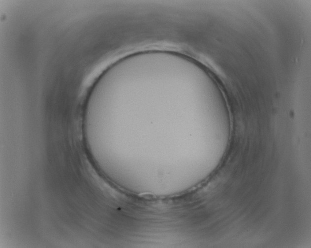 X0000075841504200610061834