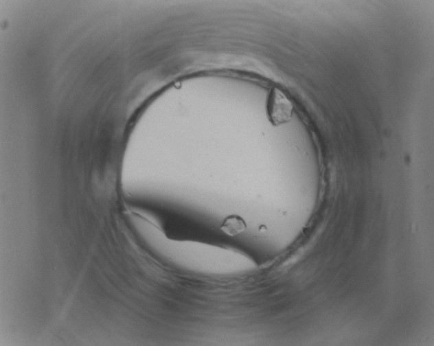 X0000075841505200610061834