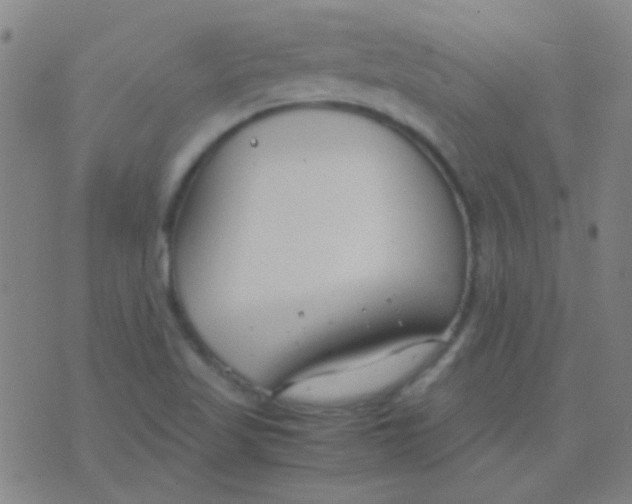 X0000075841509200610061834