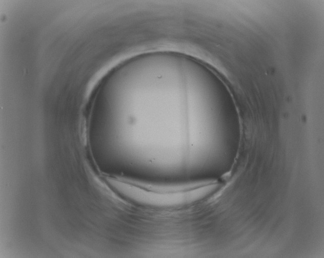 X0000075841510200610061834