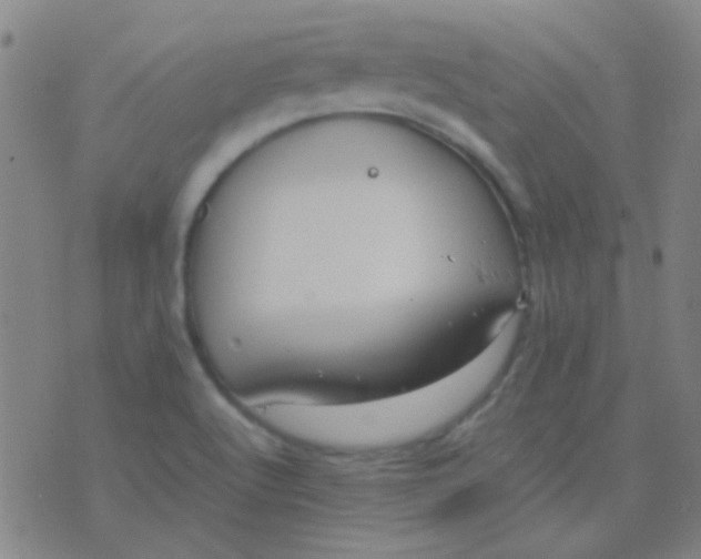 X0000075841512200610061834