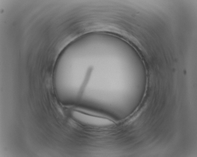 X0000075841513200610061834