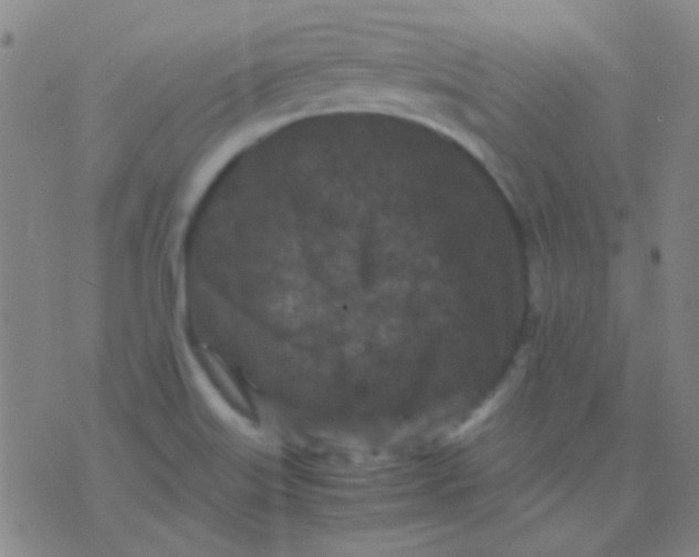 X0000075841515200610061834