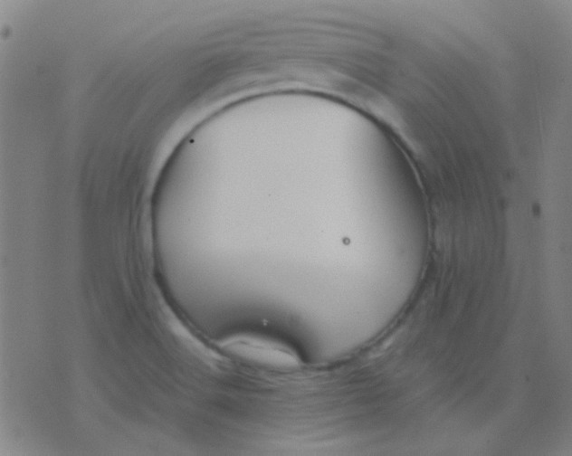 X0000075841516200610061834