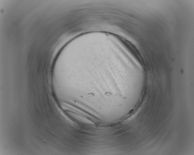 X0000075841517200610061834