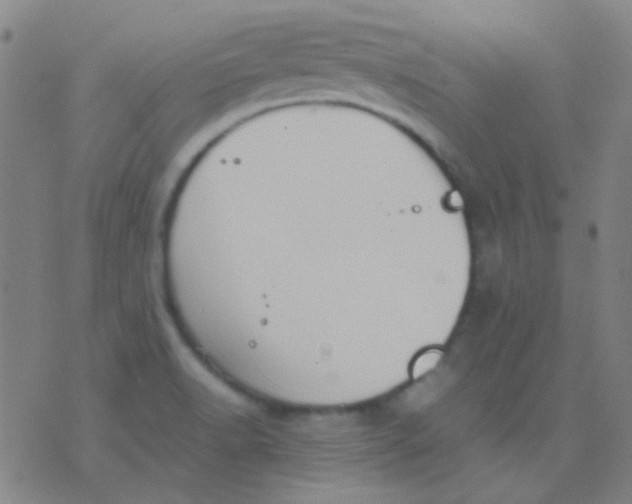 X0000075841518200610061834