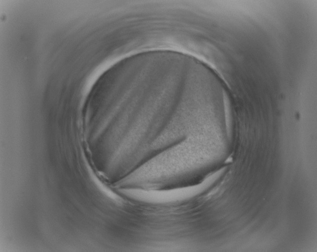 X0000075841519200610061834