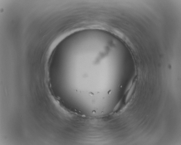 X0000075841520200610061834