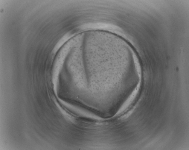 X0000075841521200610061834