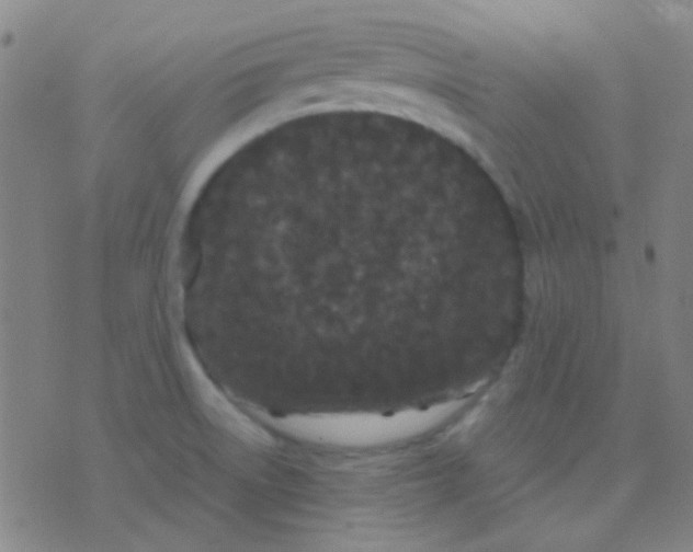 X0000075841522200610061834