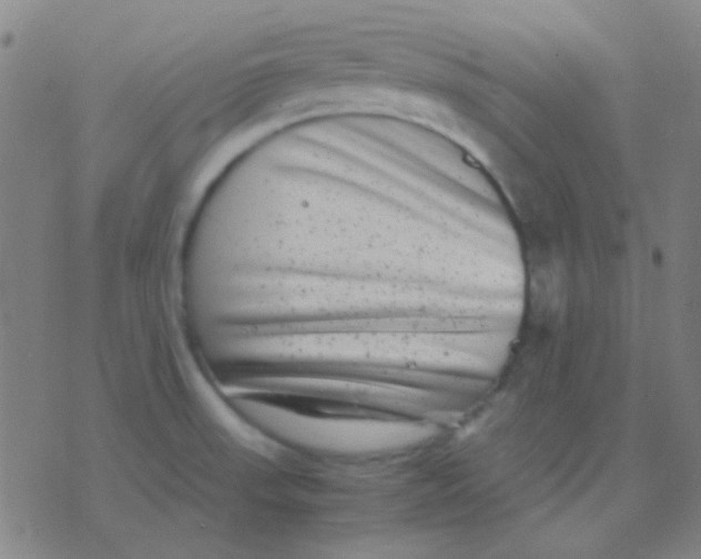 X0000075841523200610061834