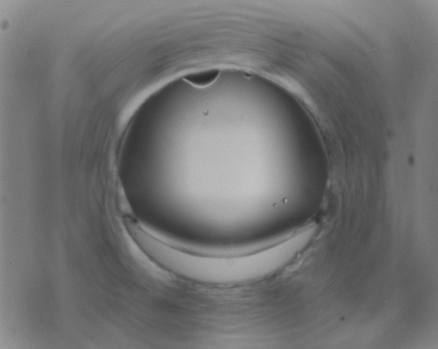 X0000075841524200610061834