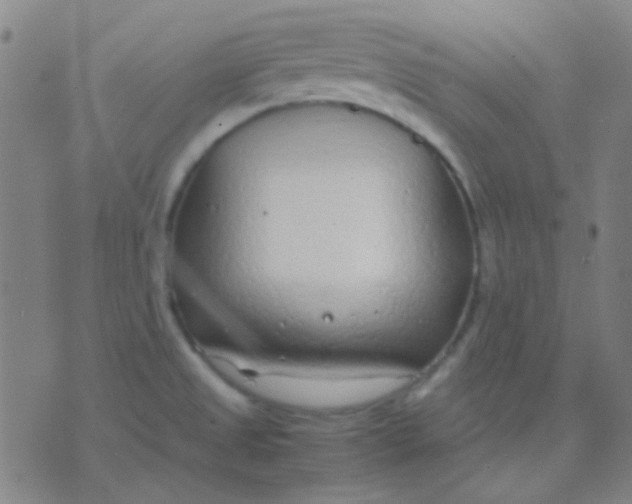 X0000075841525200610061834