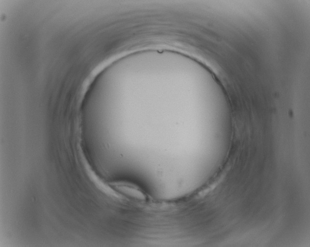 X0000075841526200610061834