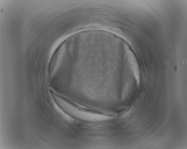 X0000075841527200610061834