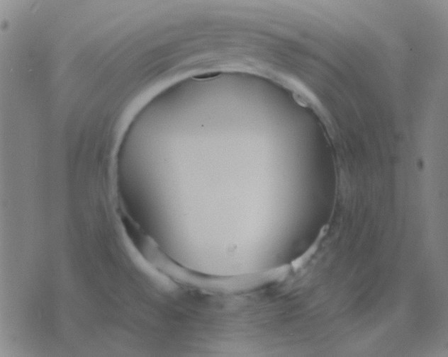 X0000075841528200610061834