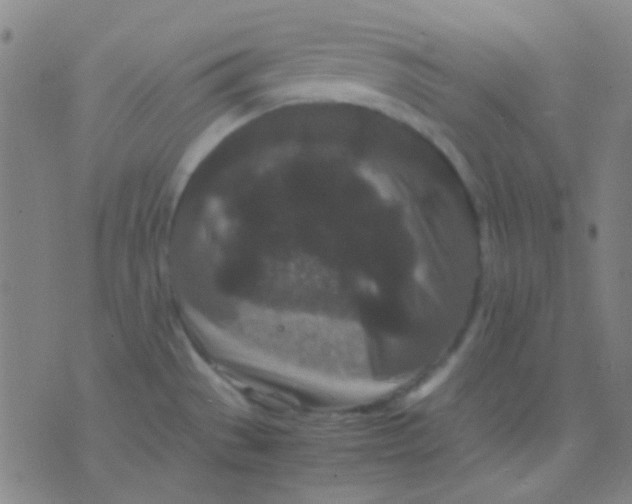 X0000075841529200610061834