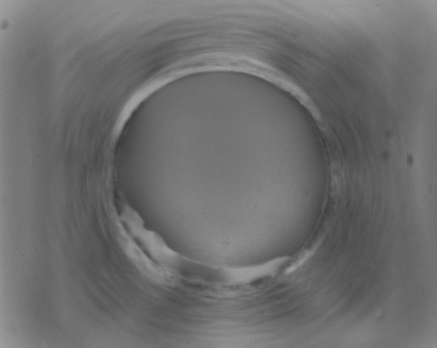 X0000075841530200610061834