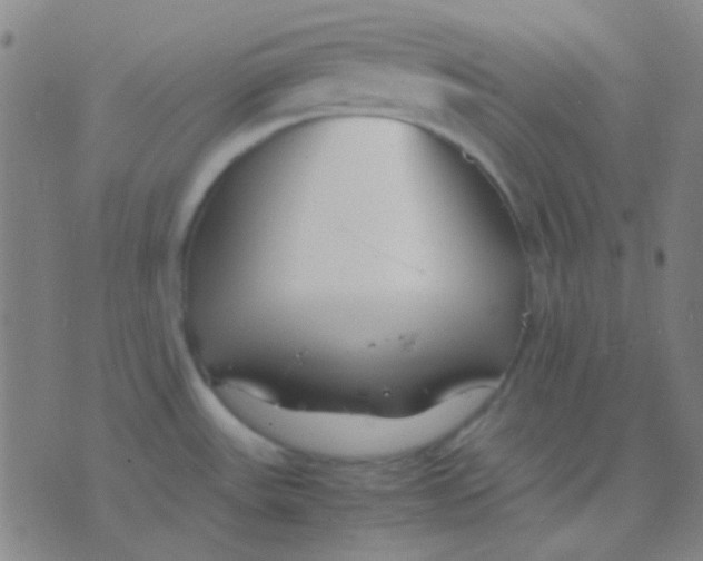 X0000075841531200610061834