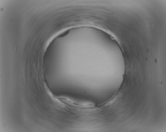 X0000075841534200610061834