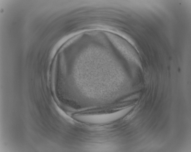 X0000075841535200610061834