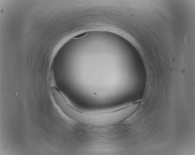 X0000075841536200610061834