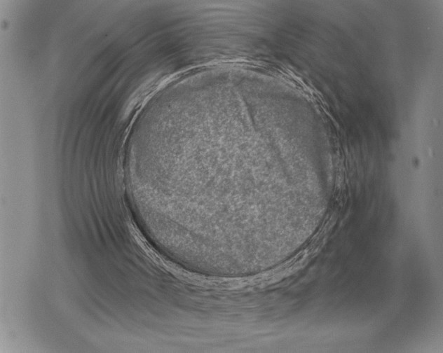 X0000075840002200610151556