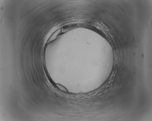 X0000075840003200610151556