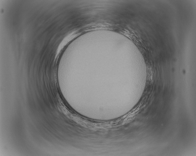 X0000075840004200610151556