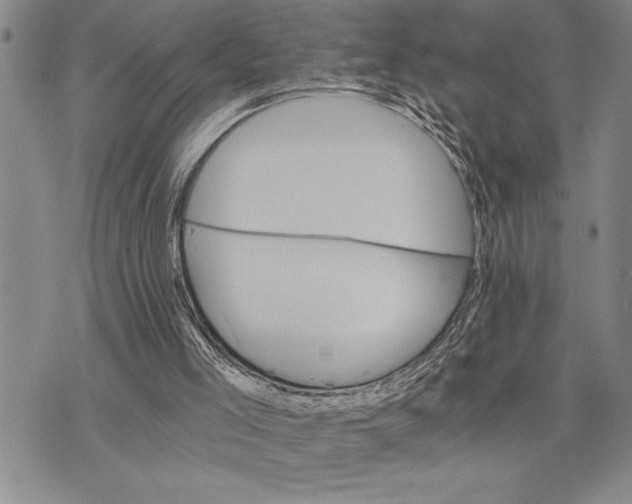 X0000075840005200610151556