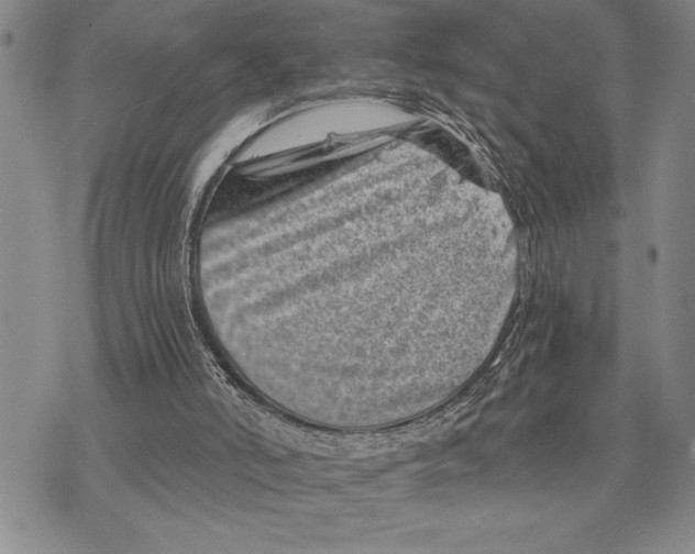 X0000075840006200610151556