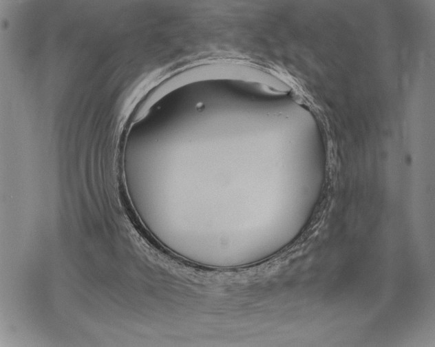 X0000075840007200610151556