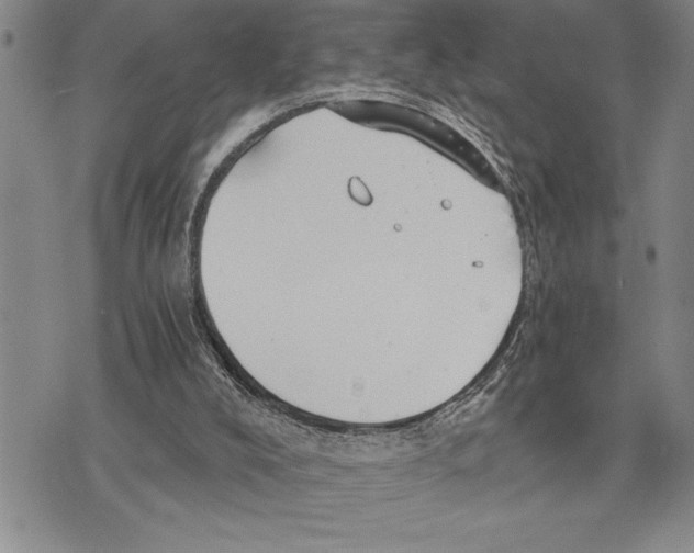 X0000075840008200610151556