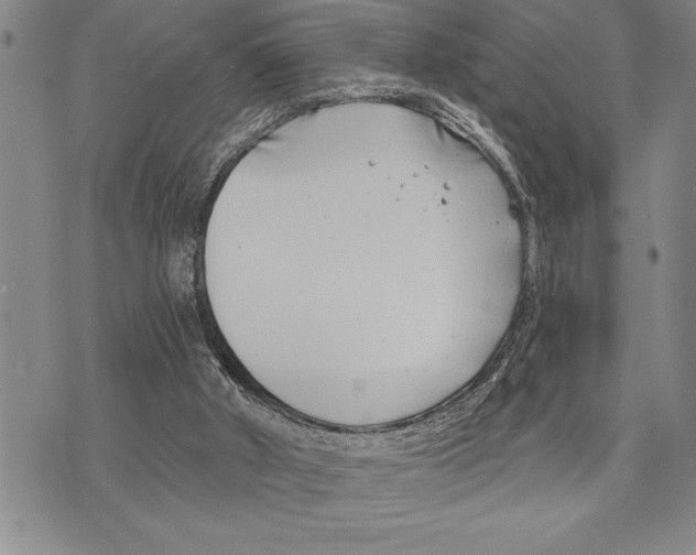 X0000075840010200610151556