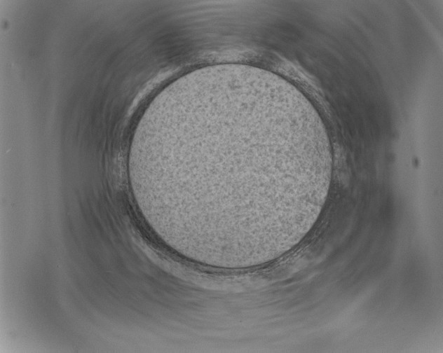 X0000075840012200610151556