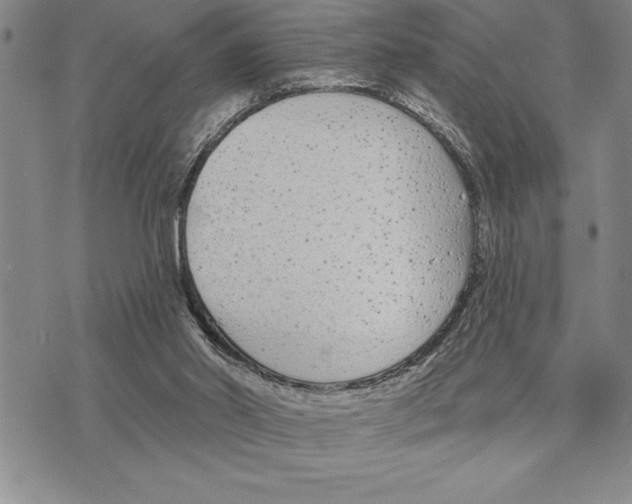 X0000075840014200610151556