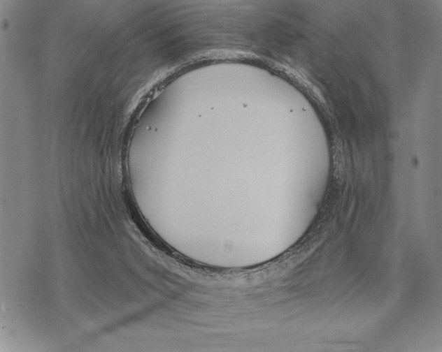 X0000075840015200610151556