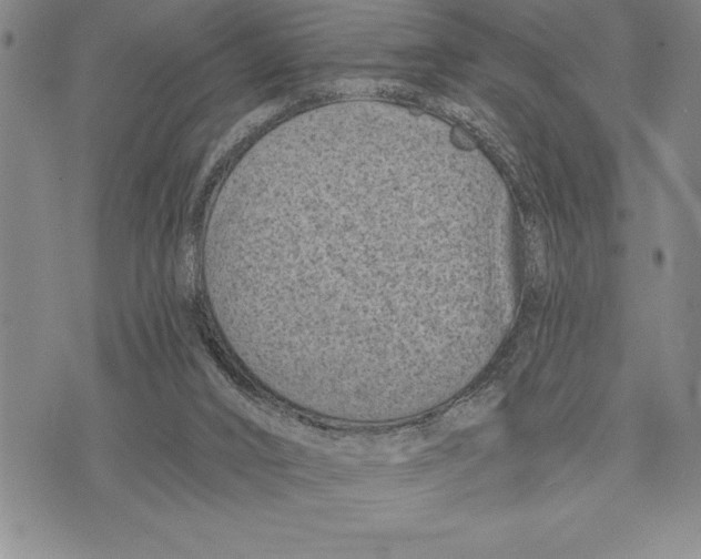 X0000075840016200610151556