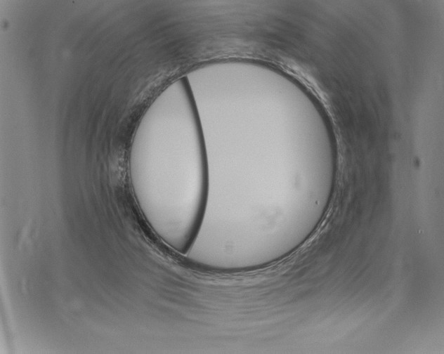 X0000075840017200610151556