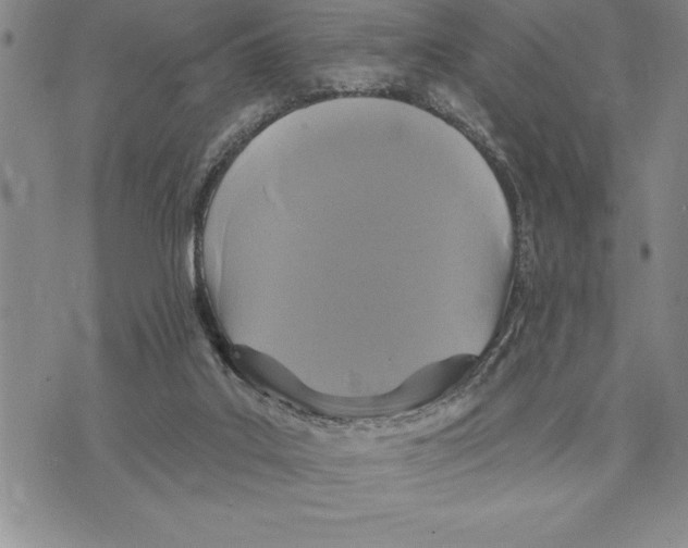 X0000075840019200610151556