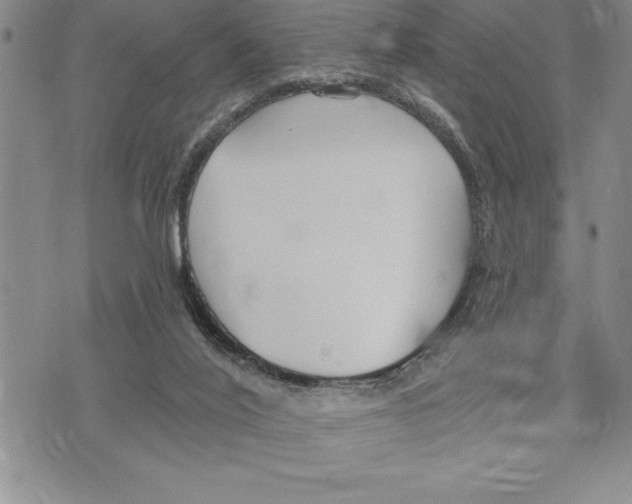 X0000075840020200610151556