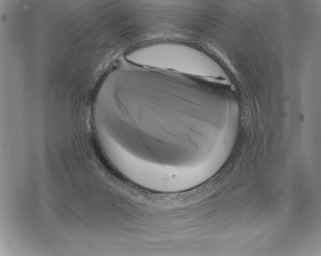 X0000075840023200610151556