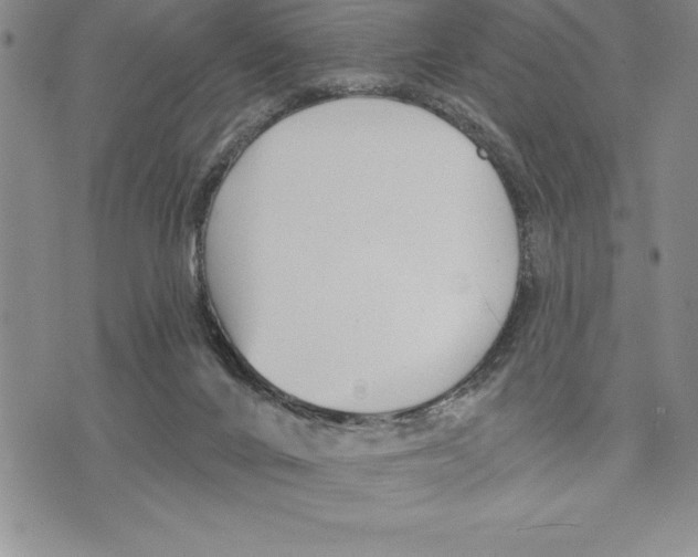 X0000075840024200610151556