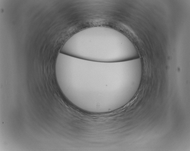 X0000075840025200610151556