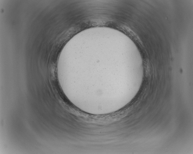 X0000075840026200610151556